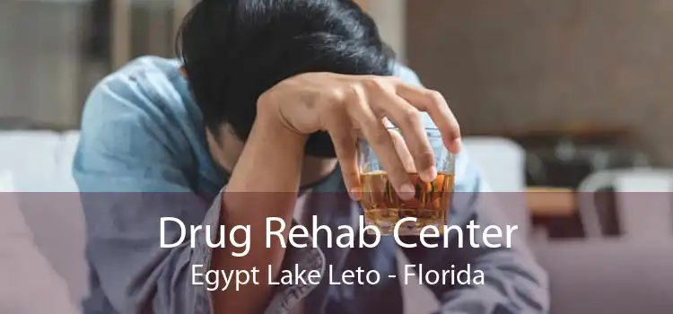 Drug Rehab Center Egypt Lake Leto - Florida