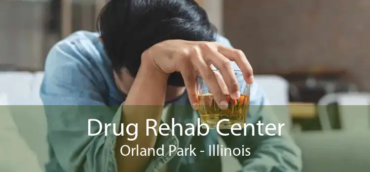 Drug Rehab Center Orland Park - Illinois