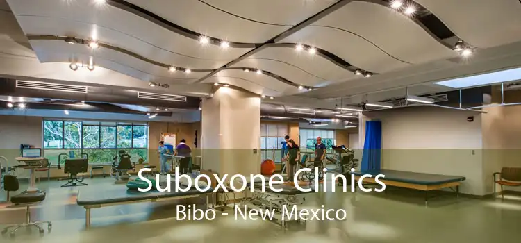 Suboxone Clinics Bibo - New Mexico