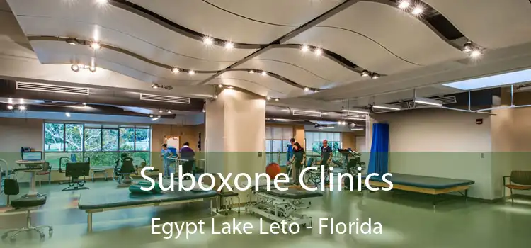 Suboxone Clinics Egypt Lake Leto - Florida