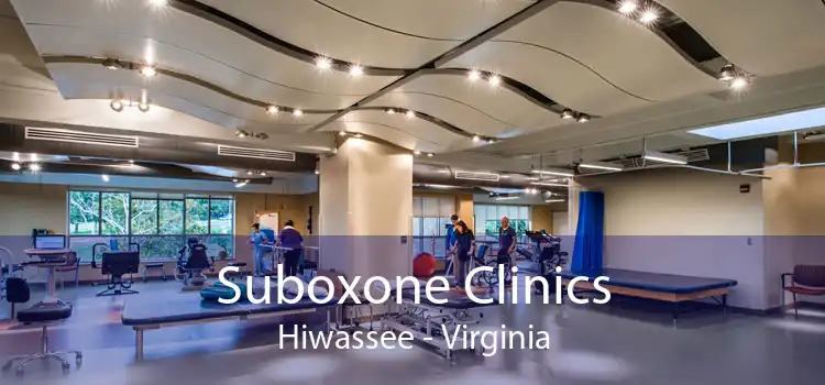 Suboxone Clinics Hiwassee - Virginia