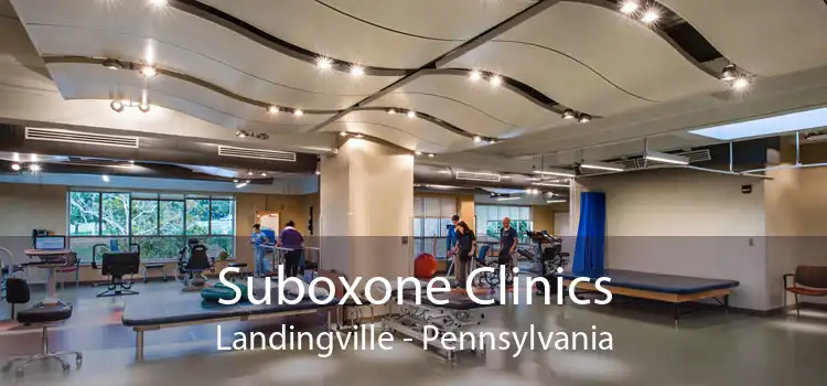 Suboxone Clinics Landingville - Pennsylvania