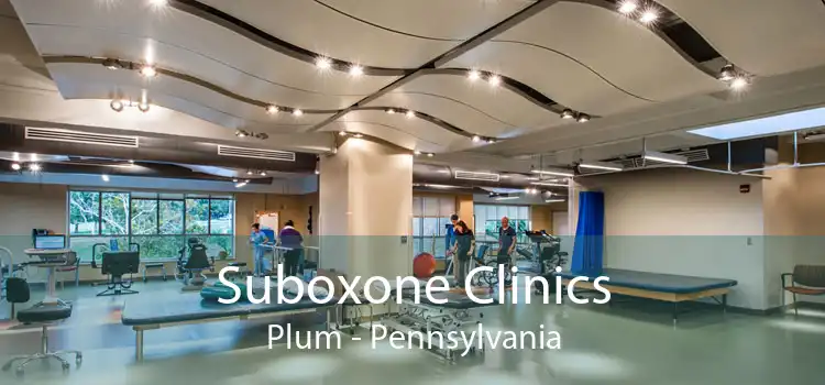 Suboxone Clinics Plum - Pennsylvania