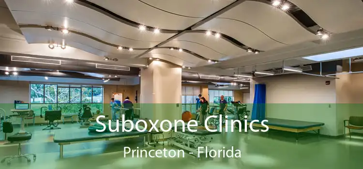 Suboxone Clinics Princeton - Florida