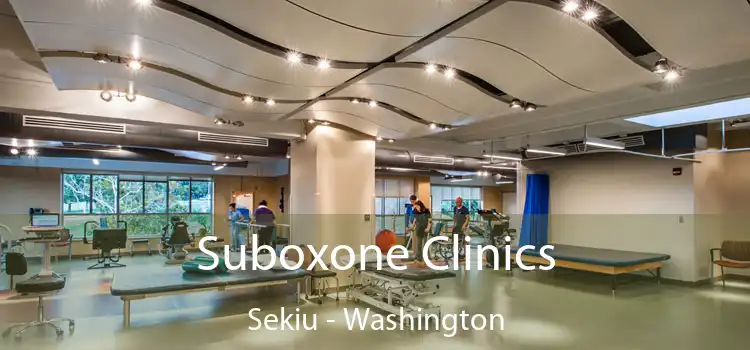 Suboxone Clinics Sekiu - Washington