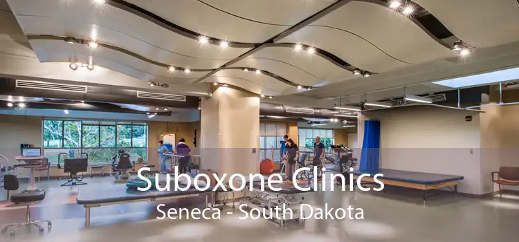 Suboxone Clinics Seneca - South Dakota