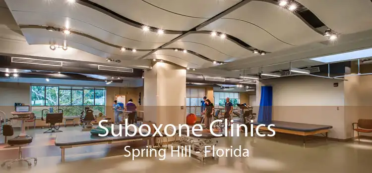 Suboxone Clinics Spring Hill - Florida