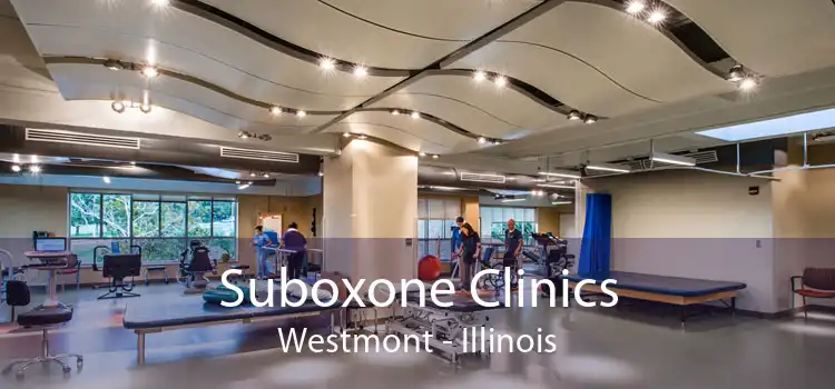 Suboxone Clinics Westmont - Illinois